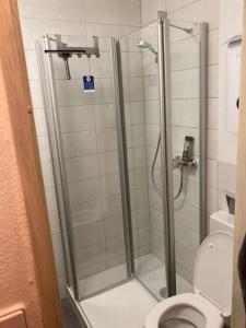 埃朗根Helle 2-Zimmer Wohnung Erlangen的设有带卫生间的浴室内的淋浴间