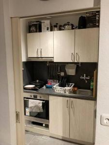 埃朗根Helle 2-Zimmer Wohnung Erlangen的厨房配有白色橱柜和水槽