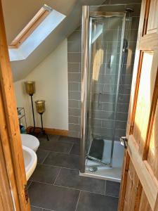 基尔代尔The Loft @ Kildare Village的带淋浴和卫生间的浴室
