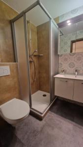 巴特克罗青根孟旅馆的带淋浴、卫生间和盥洗盆的浴室