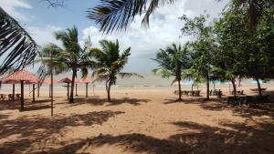 贝伦Moka Refúgium - Casa de praia, aconchegante e espaçosa的棕榈树、桌子和遮阳伞的海滩