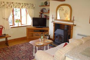 多尔盖罗Tre-Allt Gorgeous Cottage的客厅设有壁炉和电视。