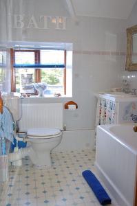 多尔盖罗Tre-Allt Gorgeous Cottage的浴室配有卫生间、浴缸和水槽。