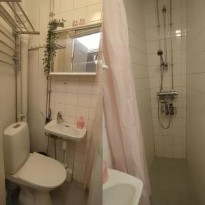 赫尔辛基Finland, Helsinki center的一间带卫生间和水槽的小浴室