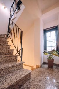 奥赫里德Lihnidos Square的一座种植盆栽植物的房子里的楼梯