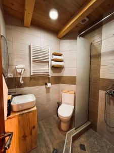 博尔若米Hotel Borjomi Verde的一间带卫生间和水槽的浴室