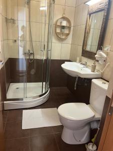 潘波洛沃Grand resort luxury apartment的带淋浴、卫生间和盥洗盆的浴室