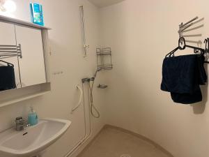 布罗斯LHM的一间带水槽、淋浴和镜子的浴室