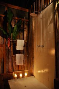 马尔多纳多港Casa Amazonas的带淋浴、毛巾和植物的浴室