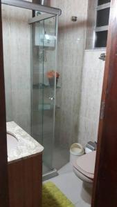 里约热内卢Apartamento Morro Da Urca的一间带卫生间和玻璃淋浴间的浴室