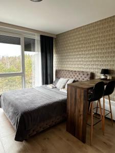 迪瓦伊巴雷Apartman Ambijent Divcibare的一间卧室配有一张床、一张书桌和一个窗户。