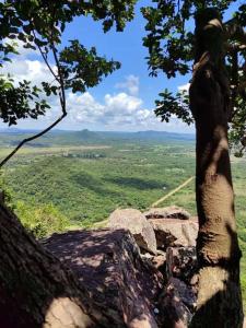 巴拉瓜里Cabaña “La Herencia” Paraguarí的山顶上一棵树,享有美景