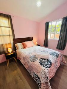 帕茨库卡罗La Casita的一间卧室设有一张床和两个窗户。