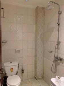 杜阿拉Résidence Longchamp的带淋浴、卫生间和盥洗盆的浴室