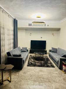 开罗Modern Comfy Flat的客厅配有两张沙发和一台电视机