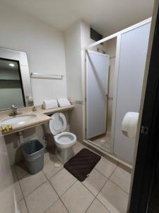 莱昂Hotel Montreal的浴室配有卫生间、盥洗盆和淋浴。
