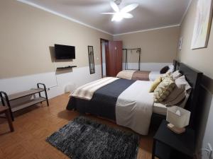 圣维森特费雷拉Vila Viegas的一间卧室配有两张床和一台平面电视