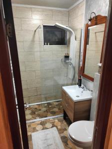 彼得罗沙尼Mountain View Apartament的带淋浴、卫生间和盥洗盆的浴室