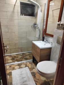 彼得罗沙尼Mountain View Apartament的带淋浴、卫生间和盥洗盆的浴室