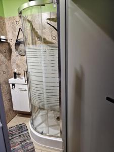 扎维尔切Górnośląska 19的浴室里设有玻璃门淋浴