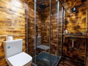 伊姆利尔Riad Atlas Bangalo的带淋浴、卫生间和盥洗盆的浴室