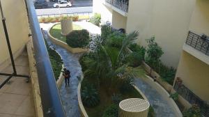 迪拜Ruby Star Male Hostel Dubai的建筑中植物庭院的顶部景色
