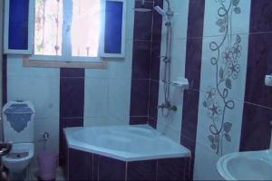 Kafr ʼakīmLoulouat Al Reef的带淋浴、浴缸和盥洗盆的浴室