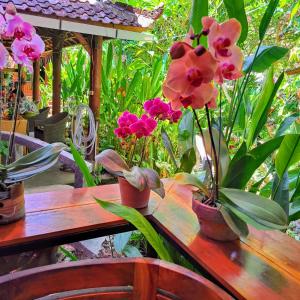 沙努尔巴厘岛凯巴厘酒店的一张木桌,上面有盆子花