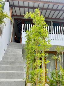 龙目岛库塔Karyana Apartment的通往树木繁茂的建筑的楼梯