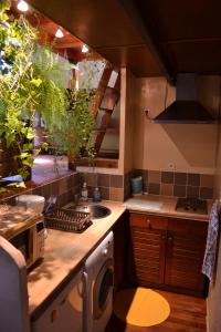 阿维尼翁佩妮舍丝布瓦船屋的厨房配有水槽和炉灶 顶部烤箱