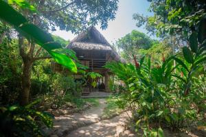 帕洛米诺Casa Moringa的丛林中的艾哈迈迪房子,有一条通往它的道路