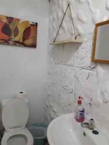 Loma del NaranjoCABAÑA MISSRAÍ TROPICAL的白色的浴室设有卫生间和水槽。