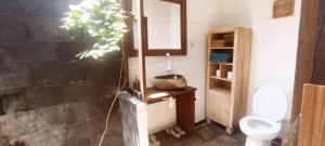 吉利美诺吉利杆美诺旅馆的一间带卫生间和植物的浴室