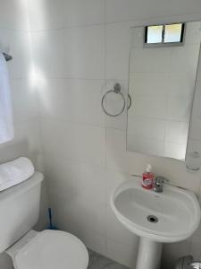 QuebrachoPosada campo bello的白色的浴室设有卫生间和水槽。