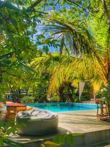 蒂瑟默哈拉默理查兹卡巴纳斯酒店的一个带躺椅和棕榈树的游泳池