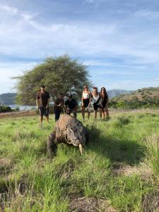 KomodoDua Putri Komodo Homestay的一群人站在草丛中的乌龟周围