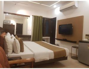 钱德加尔Hotel White Tree, Chandigarh的一间酒店客房,配有一张床和一台电视