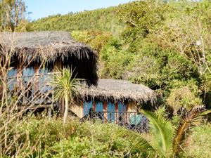 归仁海滩生活旅馆的丛林中茅草屋顶的小屋