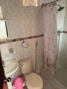 伊基托斯Casa Bolognesi的浴室配有卫生间、盥洗盆和淋浴。