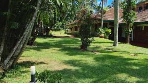 伊瓜苏港HOTEL TROPICAL IGUAZU的棕榈树庭院和房屋
