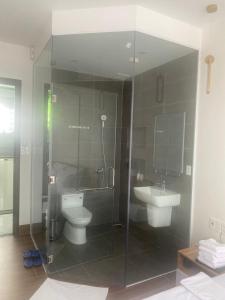 波来古市HA PLEIKU的浴室设有玻璃淋浴间、卫生间和水槽。