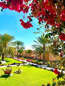 阿尔哈姆拉美景酒店的种有长凳、棕榈树和鲜花的公园