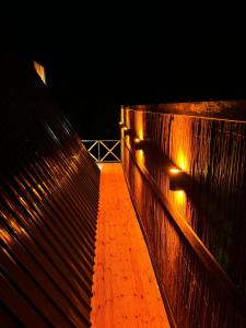 萨卡里亚Sapanca Sis Vadi Bungalov的夜间有灯的木桥