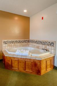 鸽子谷Park Tower Inn的客房内设有一个大浴缸,