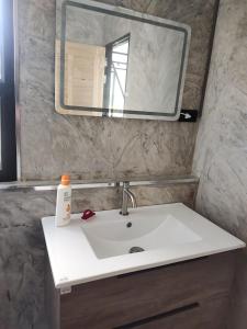 三百岭Villa Black Elephant的浴室水槽配有镜子和1瓶肥皂