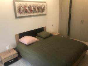 Santa-Reparata-di-BalagnaA Casa Assulanatta的一间卧室配有一张带粉红色枕头的绿色床