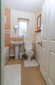 特伦特河畔斯托克Cosy 3 bedroom house的一间带卫生间、水槽和窗户的浴室