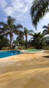 科隆Cabañas del Paraiso的一座棕榈树环绕的游泳池