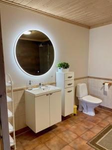 SandveSandve的一间带水槽、卫生间和镜子的浴室