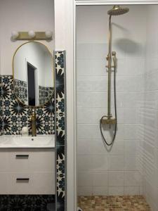 蒙德马桑Appartement Éloi - 1 Chambre的带淋浴、盥洗盆和镜子的浴室